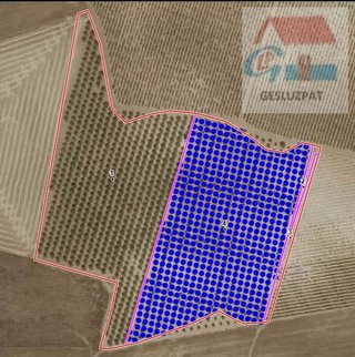 Terreno en venta en Corral de Almaguer