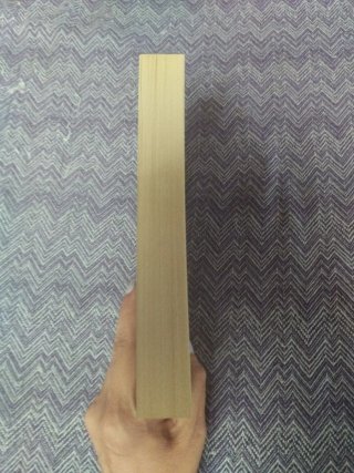 La Biblia negra