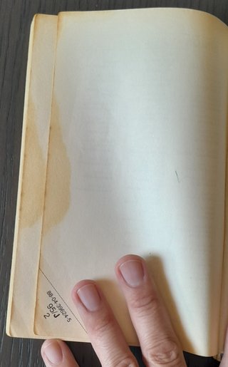 2 Libri Ragazzi Mondadori Vintage Anni90  rovinati