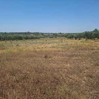 Terreno en venta en Almonte en Almonte