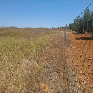 Terreno en venta en Almonte en Almonte