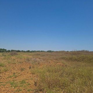 Terreno en venta en Almonte en Almonte