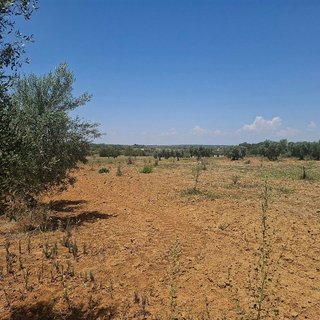Terreno en venta en Almonte en Almonte