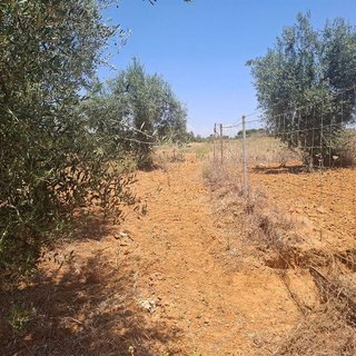 Terreno en venta en Almonte en Almonte