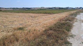 Terreno en venta en Las Lagunas - Campano en Chiclana de la Frontera