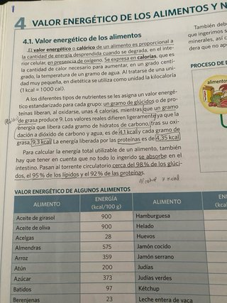 Anatomía aplicada