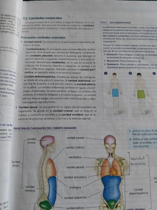 Anatomía aplicada.