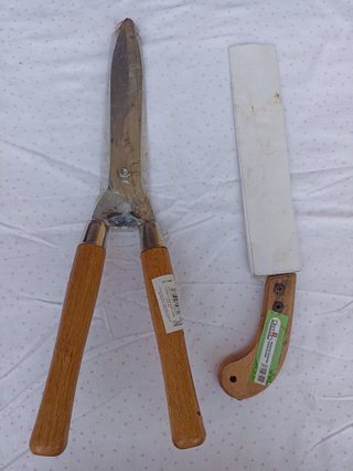 Forbici e segaccio da giardino