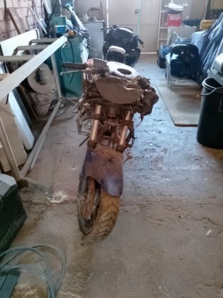 Kawasaki ZZ-R 600 documentada