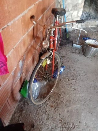 Bicicletas de paseo (2 unidades)
