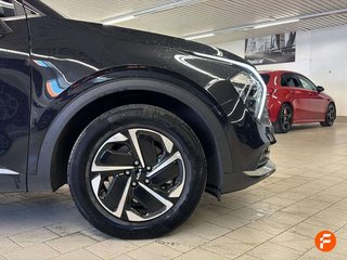 Kia Sportage 1.6 T-GDi HEV 176kW (239CV) Drive 4x2
