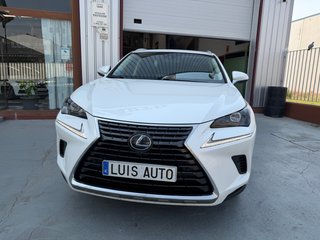Lexus NX 2019