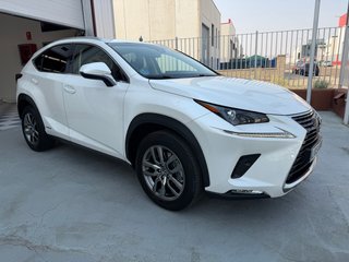 Lexus NX 2019