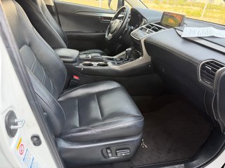 Lexus NX 2019