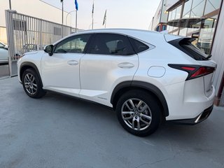 Lexus NX 2019