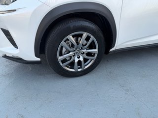 Lexus NX 2019
