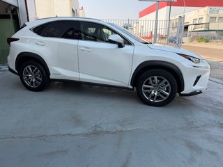 Lexus NX 2019