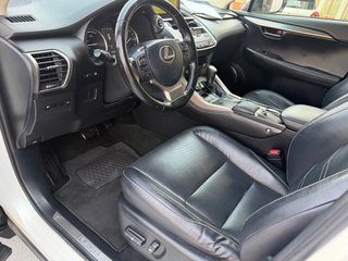 Lexus NX 2019