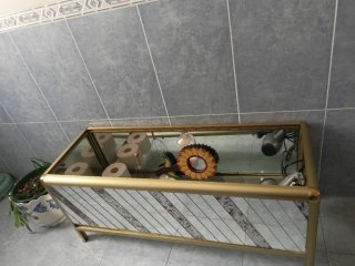 Mueble de cristal y metal dorado