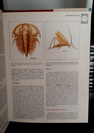 La enciclopedia de los conocimientos