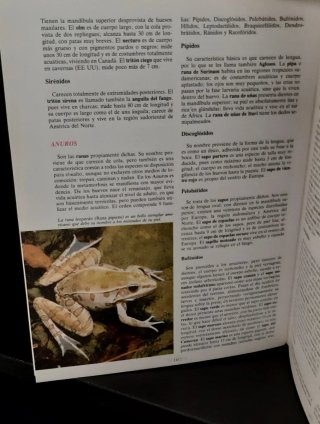 La enciclopedia de los conocimientos