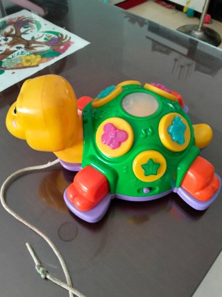 Tortuga Juguete Interactivo
