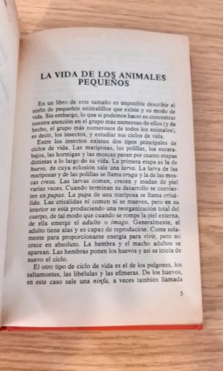 Aventuras con animales pequeños