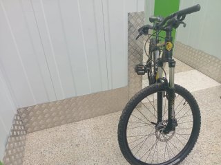 Bicicleta de montaña Berg Trailrock