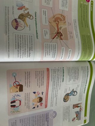 BIOLOXIA E XEOLOXIA 3 ESO SANTILLANA