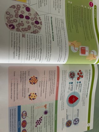 BIOLOXIA E XEOLOXIA 3 ESO SANTILLANA
