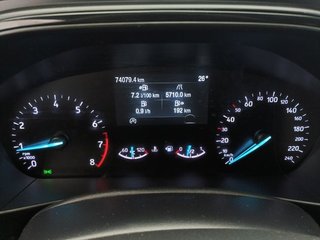 Ford Focus 1.0 Ecoboost MHEV 114kW ST-Line