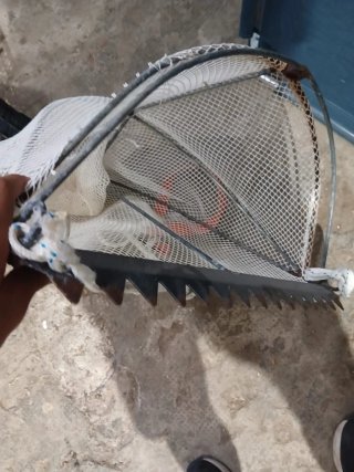 Rastrello artigianale per telline e vongole