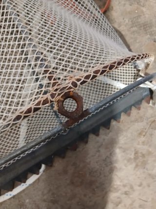Rastrello artigianale per telline e vongole