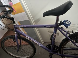 Bicicleta BH Sunny Morada