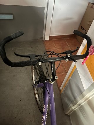 Bicicleta BH Sunny Morada