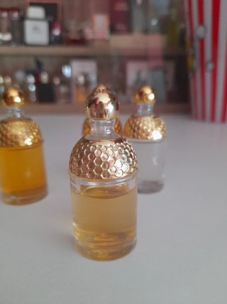 4 Miniaturas Perfume Guerlain Aqua Allegoria