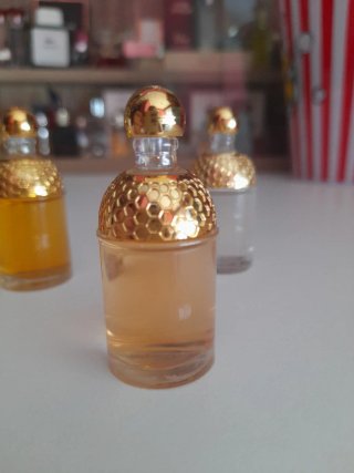 4 Miniaturas Perfume Guerlain Aqua Allegoria