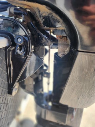 Barca 325 con motor Mercury 9.9 CV
