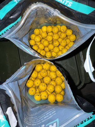 Lote Carpfishing Tactica Baits. Fox, Nash, Korda