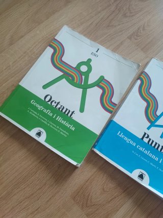 Puntal 1. Llengua catalana i Literatura 1 ESO