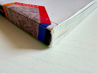 L'album di arte e immagine. Con espansione onli...