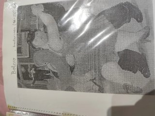 Graficos punto de cruz cuadros de Botero