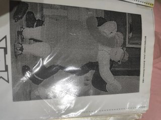 Graficos punto de cruz cuadros de Botero