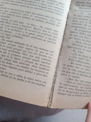 Muerte en el castillo ( novela misterio )