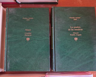 Lote 10 libros variados