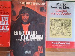 Lote 10 libros variados