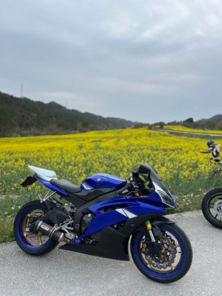 Yamaha YZF-R6R RJ11