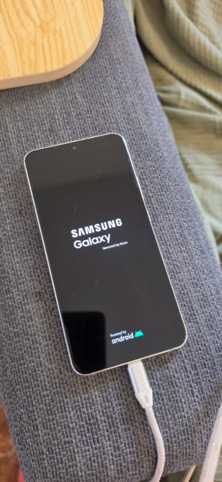 Samsung Galaxy S22+ Dorado/Rosa