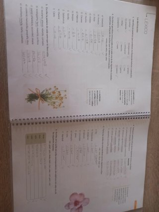 Libro lengua castellana y literatura ProDigi 2ESO