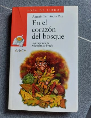Lote de libros - 11 libros